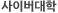 사이버대학